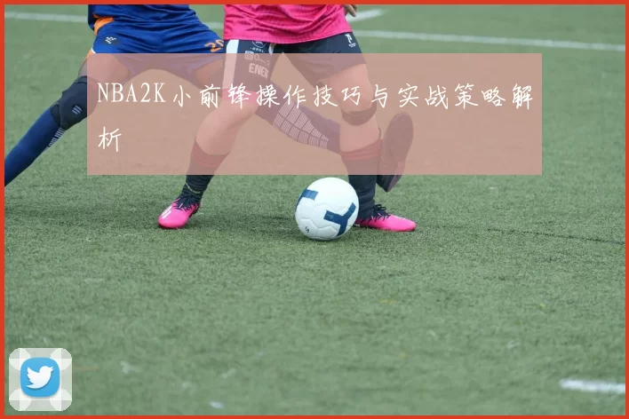 NBA2K小前锋操作技巧与实战策略解析