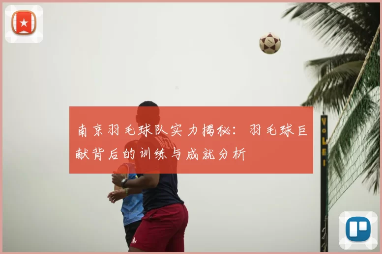 南京羽毛球队实力揭秘：羽毛球巨献背后的训练与成就分析
