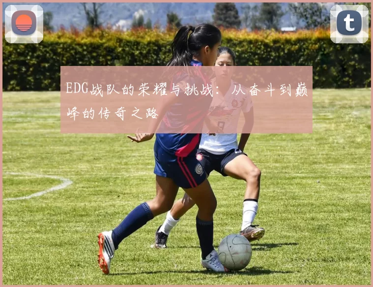 EDG战队的荣耀与挑战：从奋斗到巅峰的传奇之路