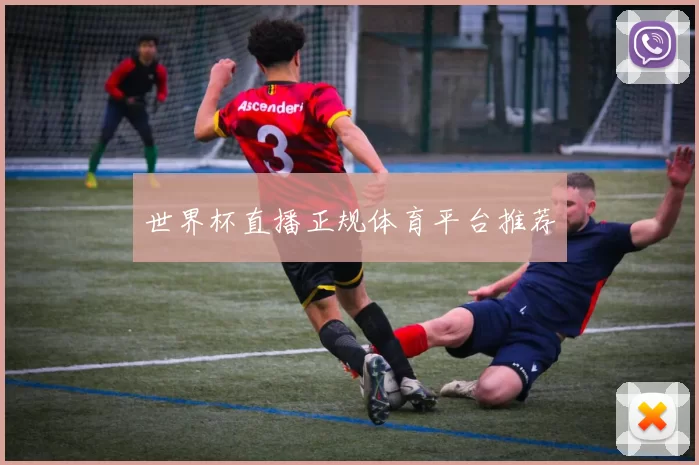 世界杯直播正规体育平台推荐