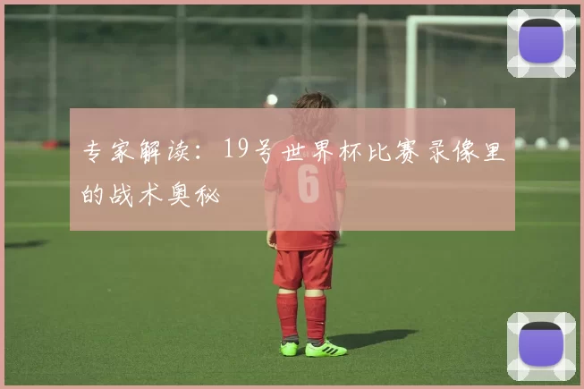 专家解读：19号世界杯比赛录像里的战术奥秘