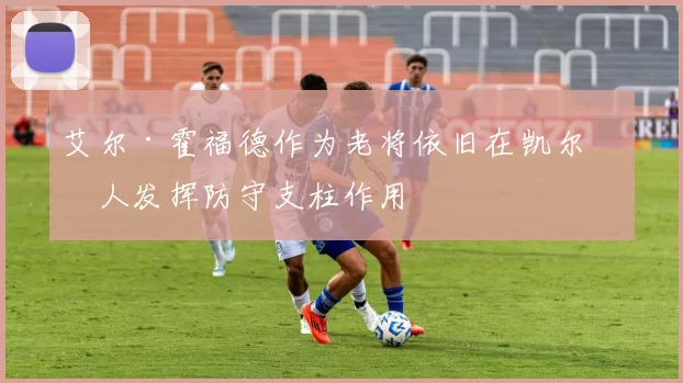 艾尔·霍福德作为老将依旧在凯尔特人发挥防守支柱作用