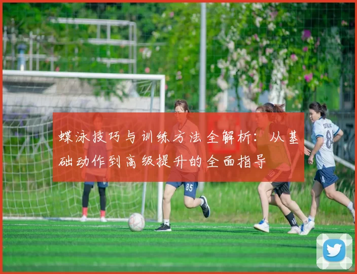 蝶泳技巧与训练方法全解析：从基础动作到高级提升的全面指导