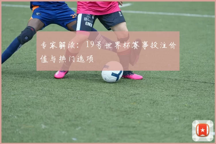 专家解读：19号世界杯赛事投注价值与热门选项