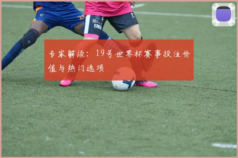 专家解读：19号世界杯赛事投注价值与热门选项