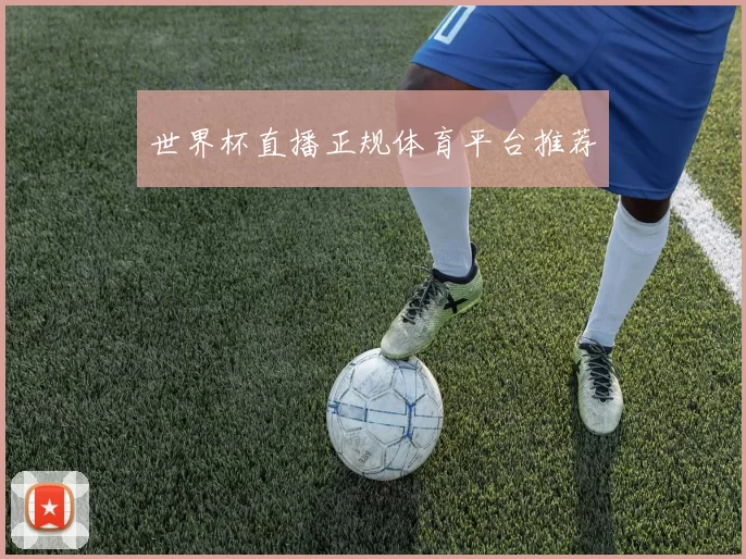 世界杯直播正规体育平台推荐