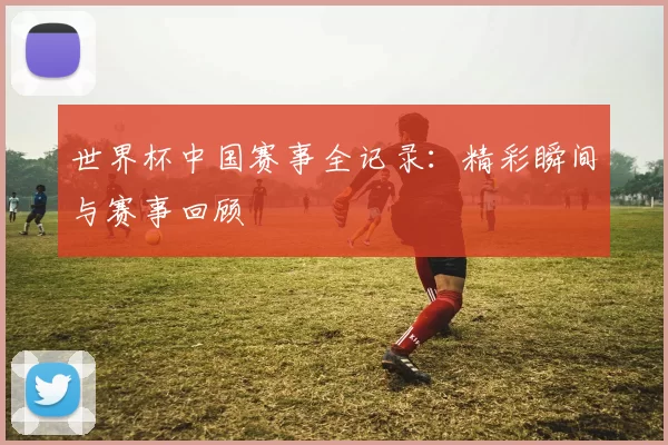 世界杯中国赛事全记录：精彩瞬间与赛事回顾