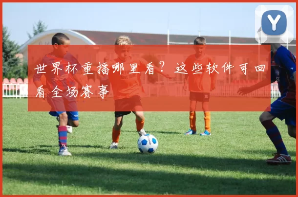 世界杯重播哪里看？这些软件可回看全场赛事